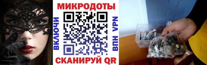 Псилоцибиновые грибы Psilocybe  Краснообск 