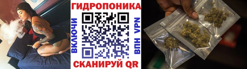 Марихуана индика  Краснообск 